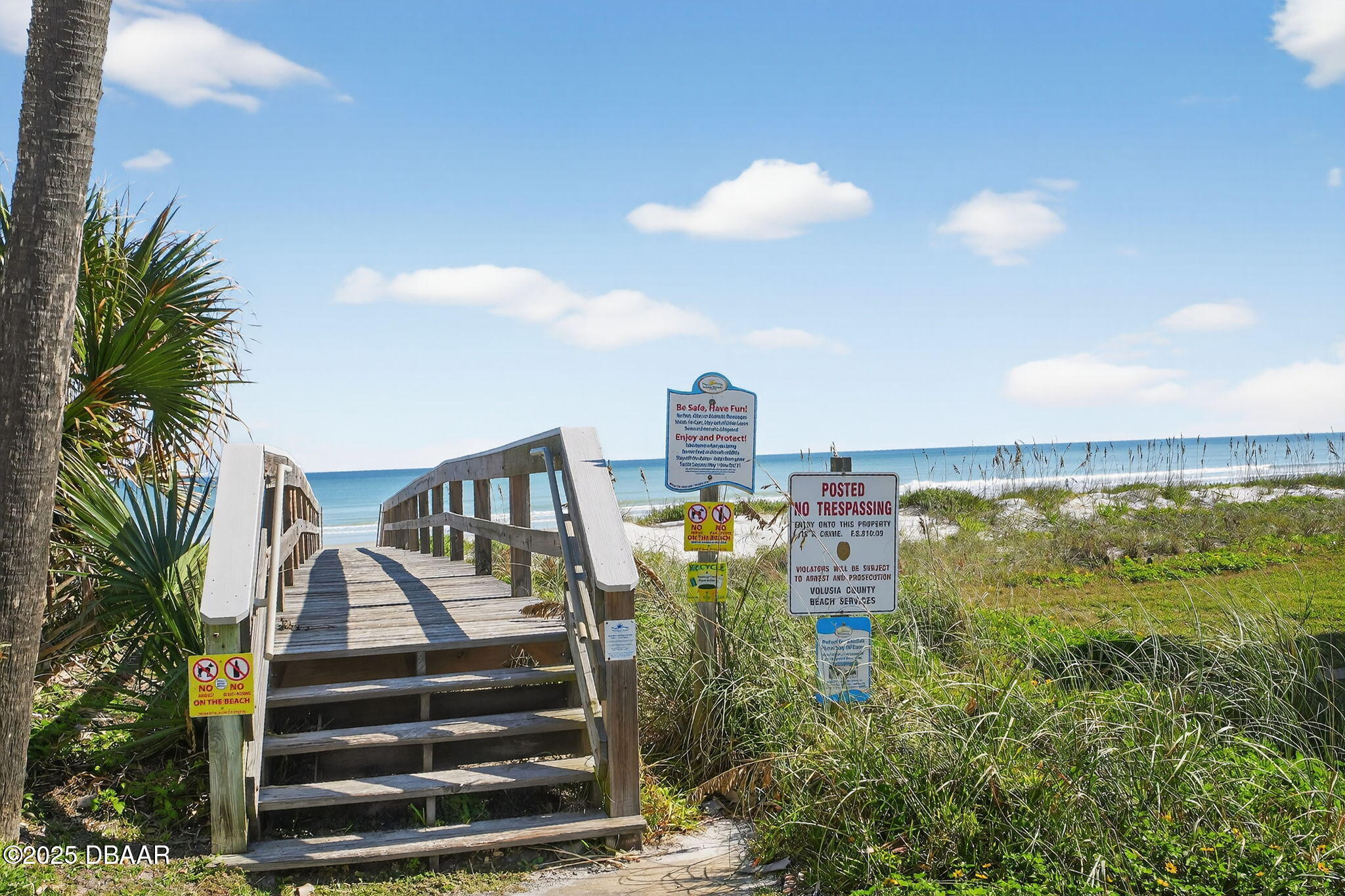 61 Beverly Hills Avenue