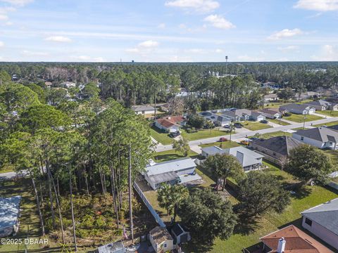 A home in Palm Coast