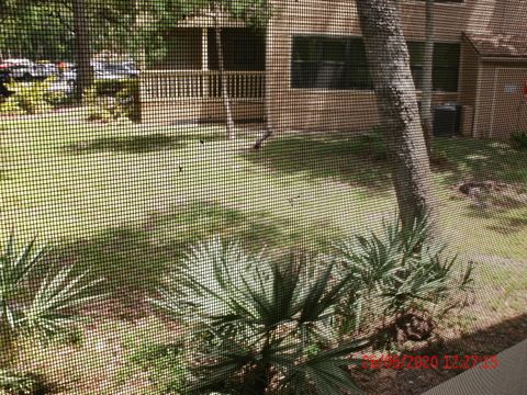 A home in Daytona Beach