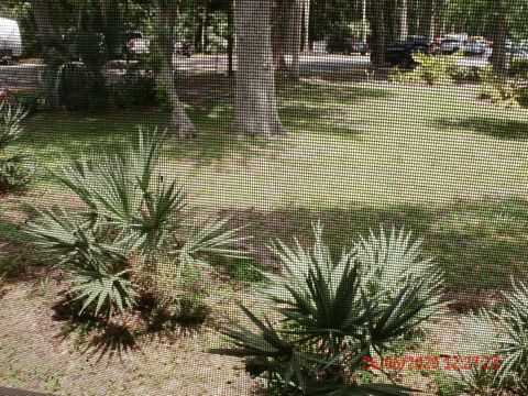 A home in Daytona Beach