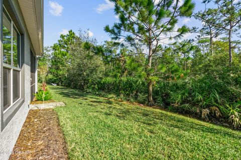 A home in Ormond Beach