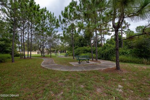 A home in Ormond Beach