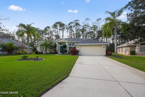18 Black Creek Way Ormond Beach FL 32174