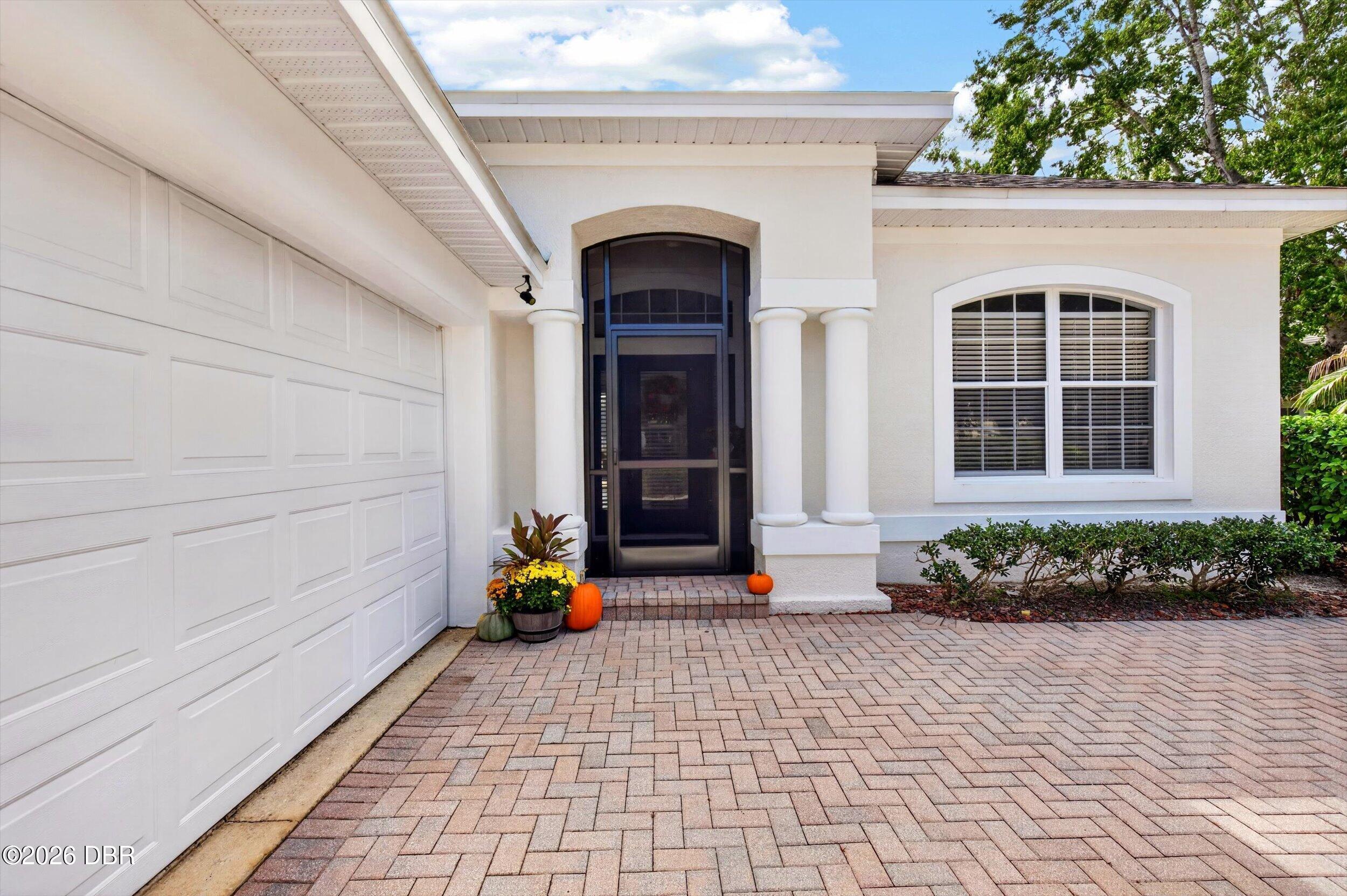 6 Acclaim At Lionspaw