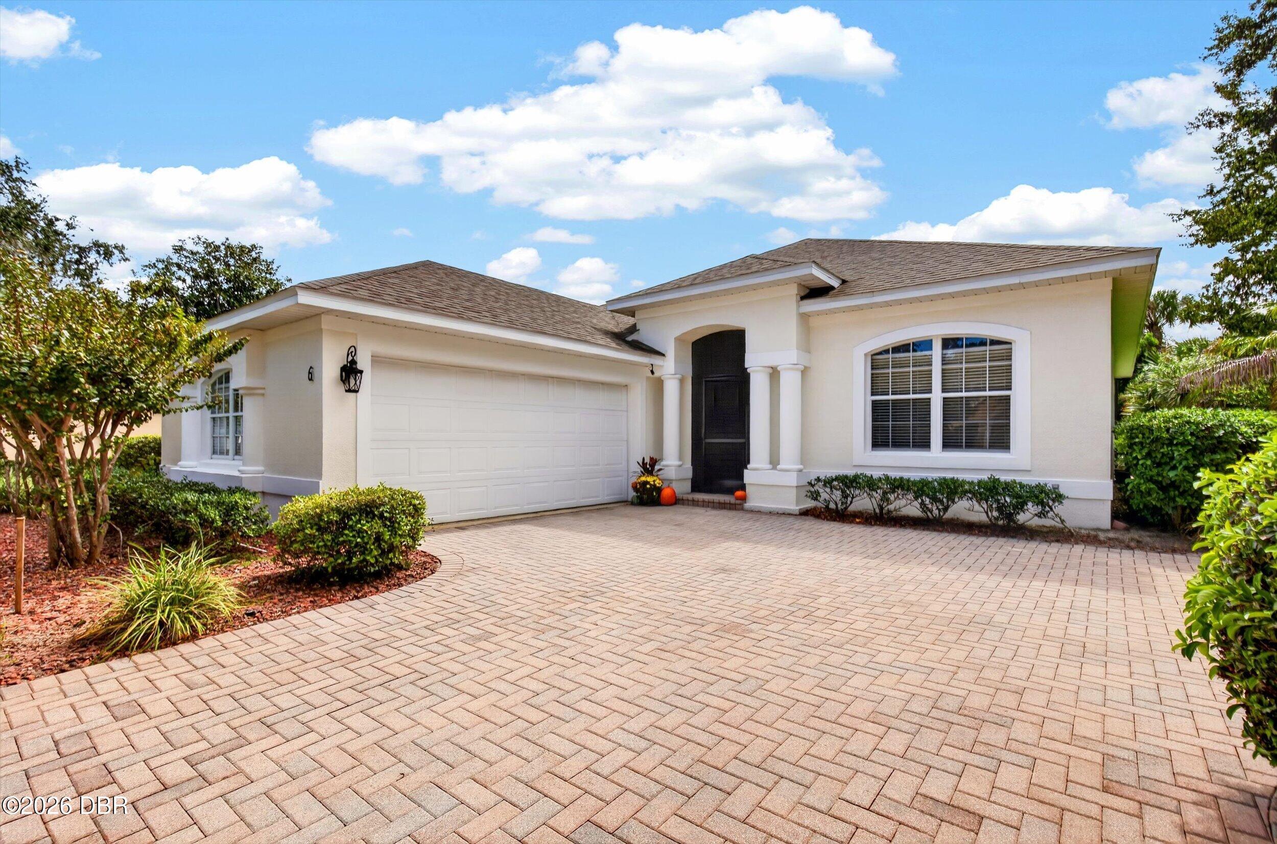 6 Acclaim At Lionspaw