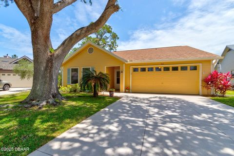 706 Sky Tree Court New Smyrna Beach FL 32168