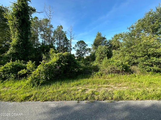 112 WARMOUTH LN, KISSIMMEE, FL 34759 - Image 90de35368bf18e9fe30b91c8e780e6db/2303349848