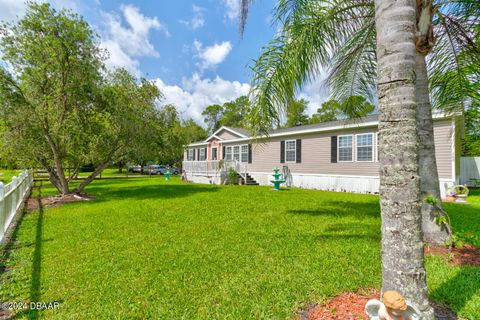 A home in Ormond Beach