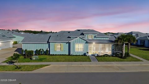 223 Ocean Hammock Loop Daytona Beach FL 32124