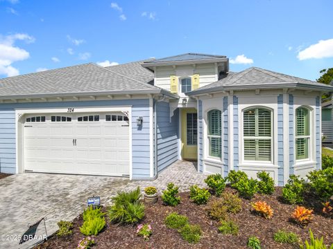 324 Low Tide Lane Daytona Beach FL 32124