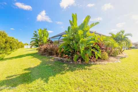 A home in New Smyrna Beach