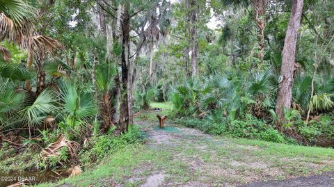 A home in New Smyrna Beach