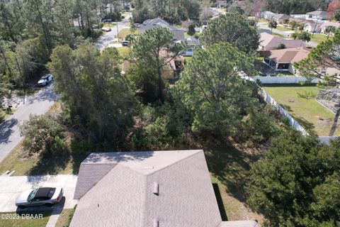 A home in Palm Coast