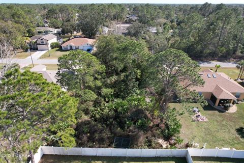 A home in Palm Coast