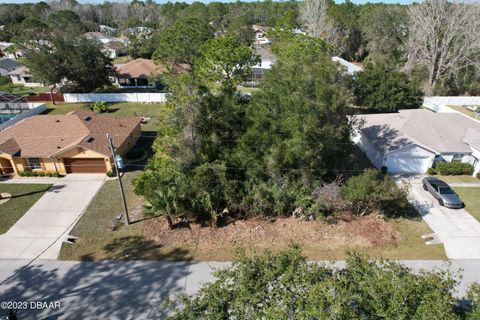 A home in Palm Coast