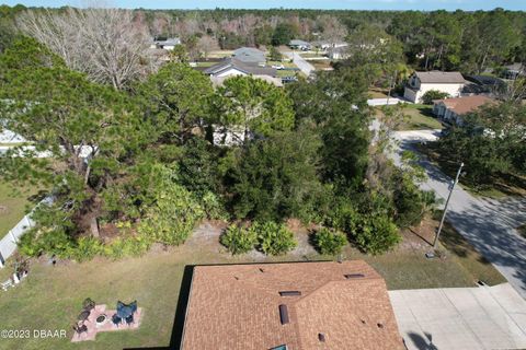 A home in Palm Coast