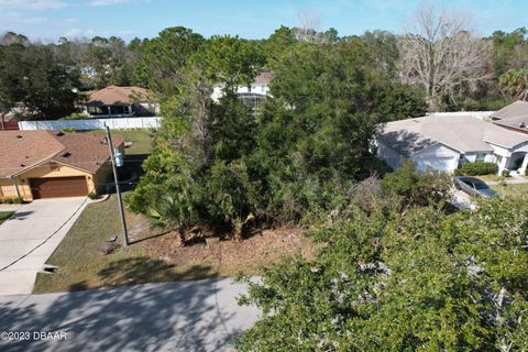 A home in Palm Coast