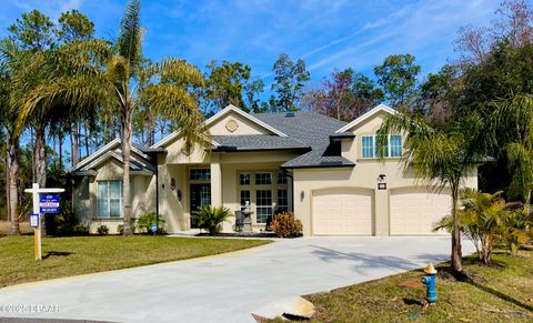 A home in Palm Coast