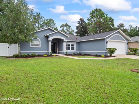 A home in Palm Coast