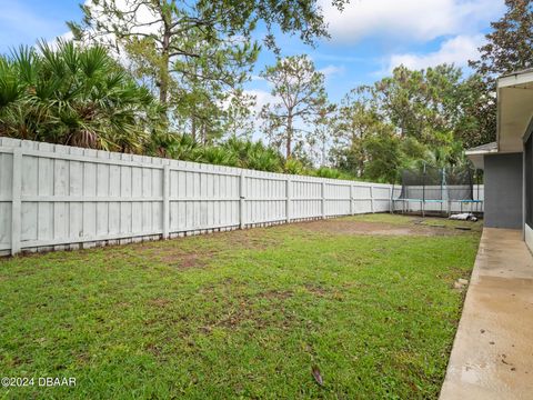 A home in Palm Coast