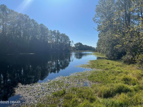 A home in Ormond Beach