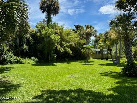 A home in Ormond Beach