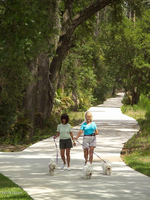 A home in New Smyrna Beach