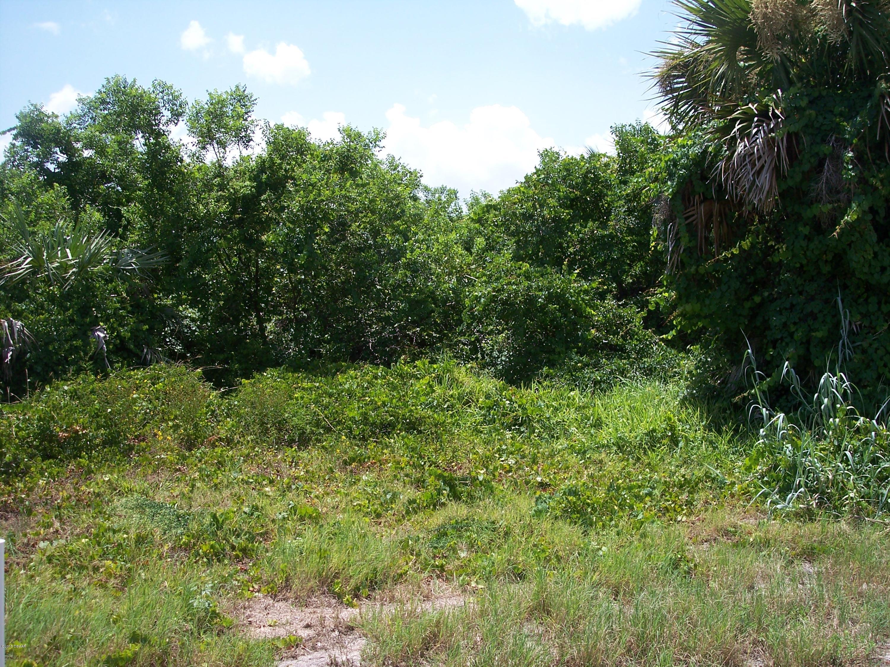 Photo 1 of 5 — 0 E South Atlantic Avenue, Ponce Inlet, FL 32127