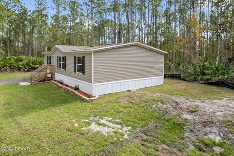 A home in Bunnell