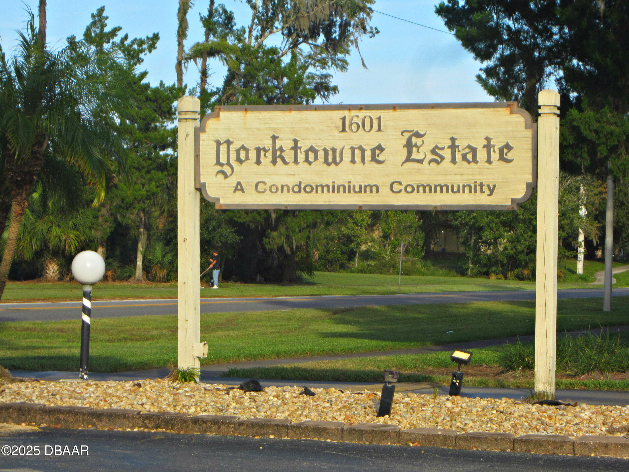 1601 Big Tree Road 107