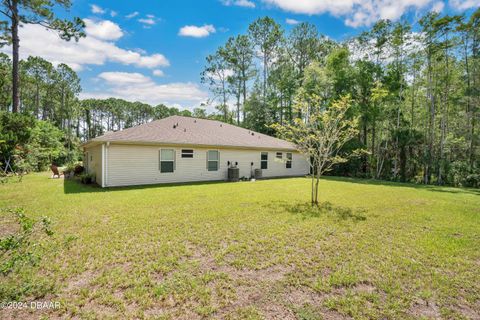 A home in Palm Coast