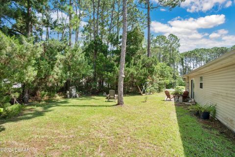 A home in Palm Coast