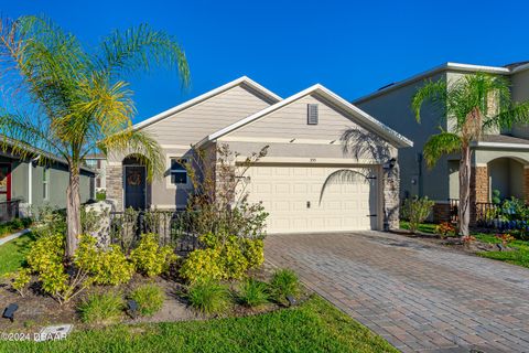 A home in New Smyrna Beach