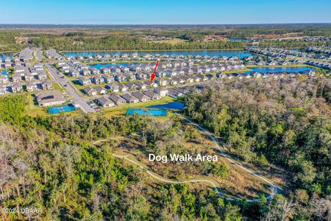 A home in New Smyrna Beach