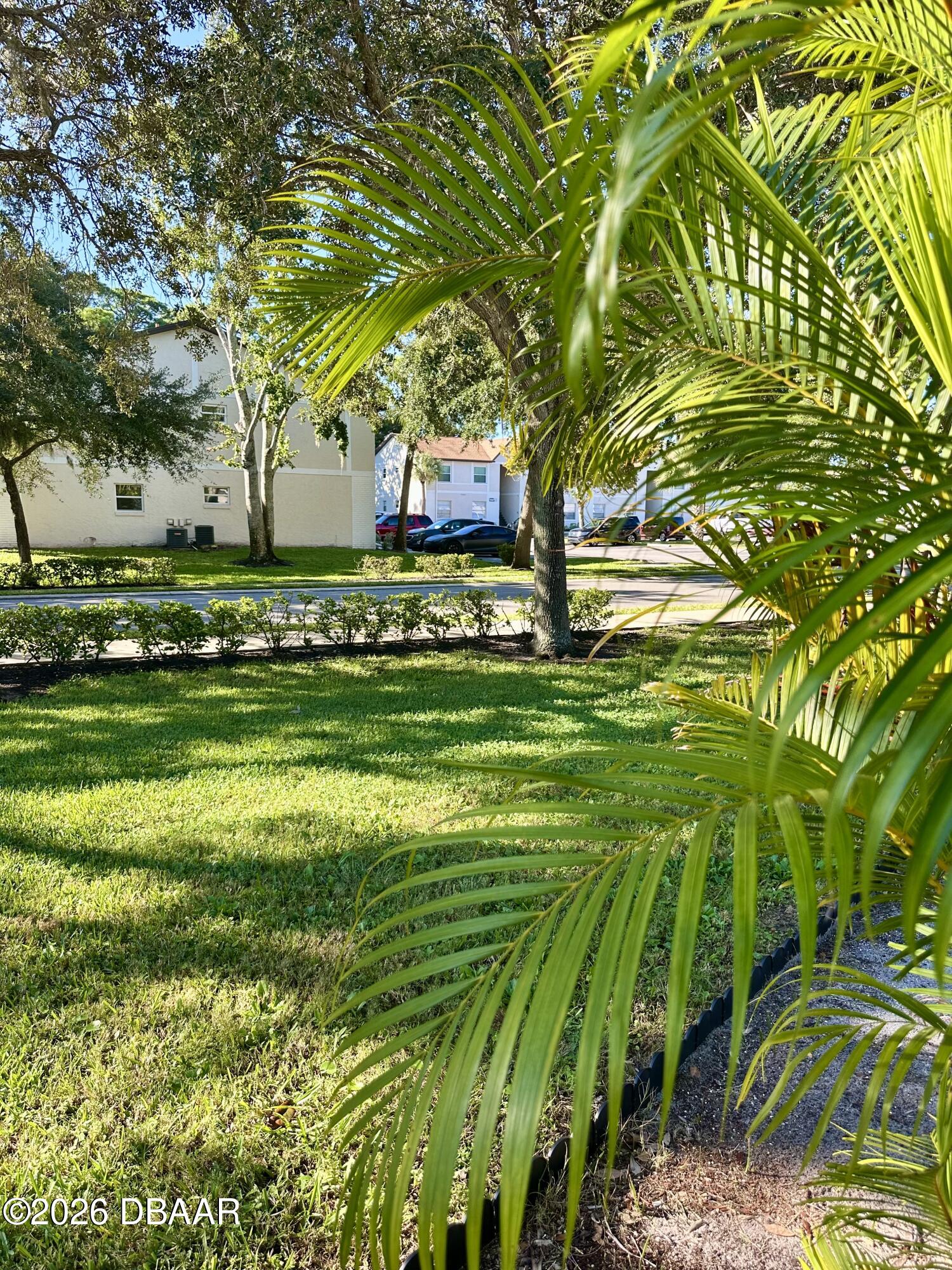 420 Banana Cay Drive