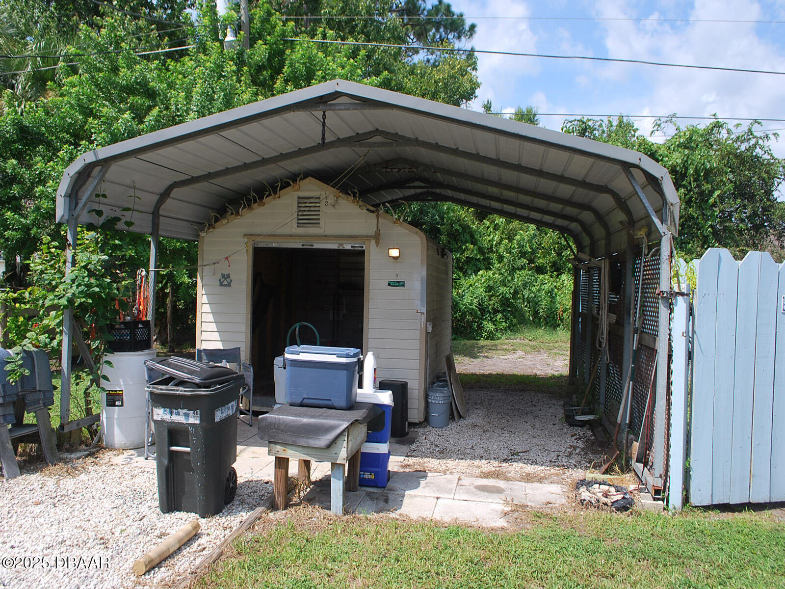 3012 Umbrella Tree Drive