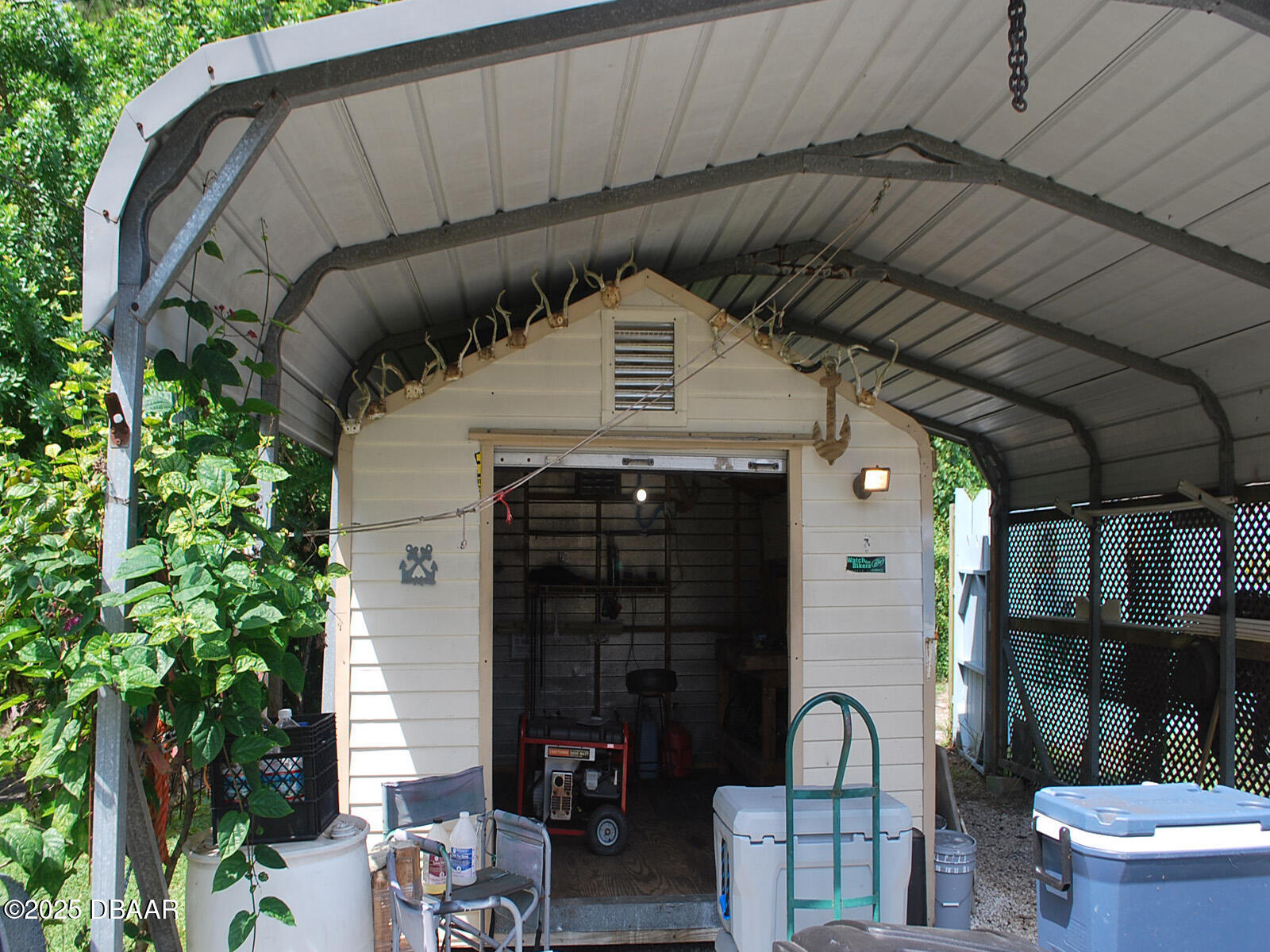 3012 Umbrella Tree Drive