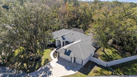 A home in Ormond Beach