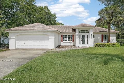 1 Wellwater Drive Palm Coast FL 32164