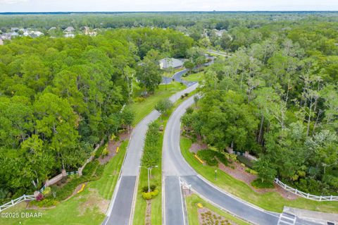 A home in Ormond Beach