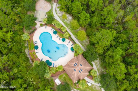 A home in Ormond Beach