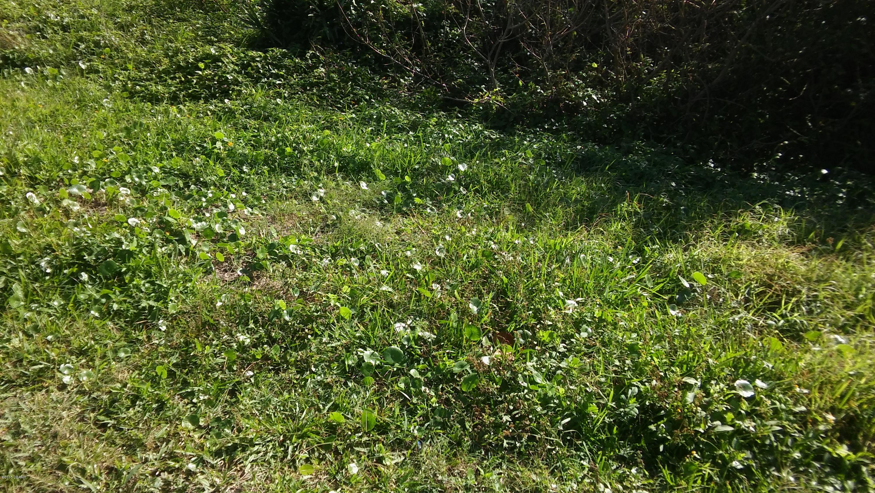 Photo 1 of 3 — 0 TURTLEMOUND Road, New Smyrna Beach, FL 32169