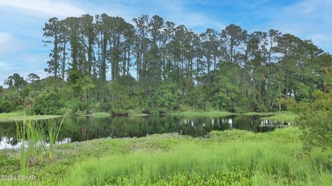 A home in Ormond Beach