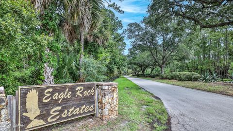 A home in Ormond Beach