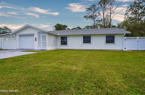 A home in Ormond Beach