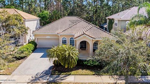 461 Luna Bella Lane New Smyrna Beach FL 32168
