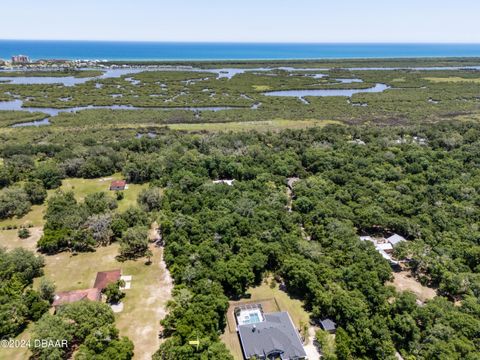 A home in Flagler Beach