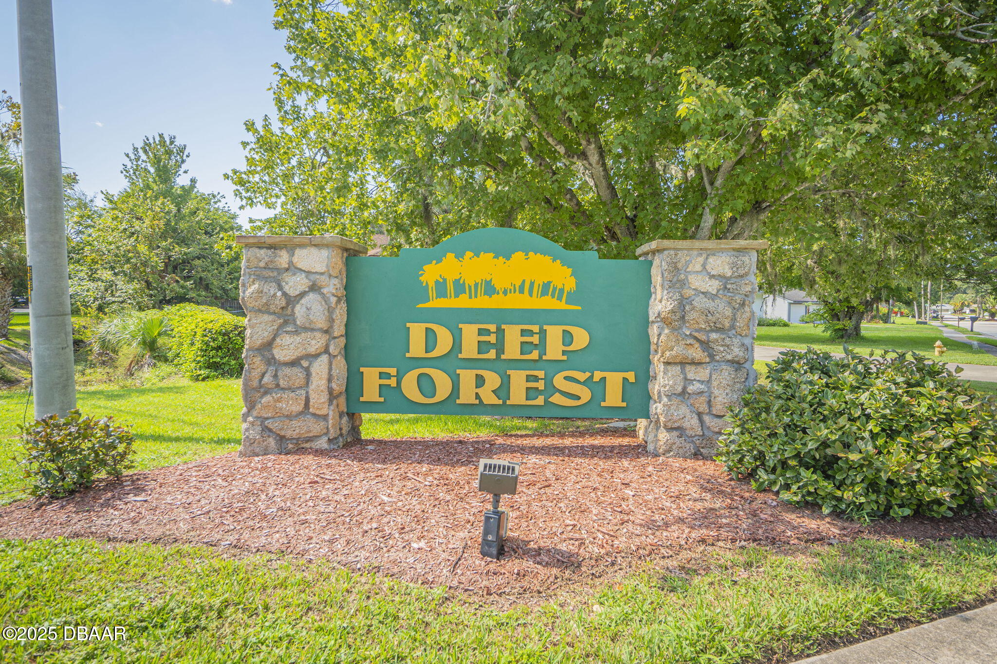 956 Tall Pine Drive