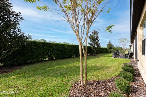 A home in Ormond Beach