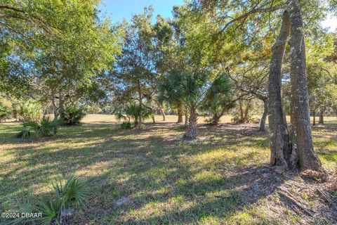 A home in Ormond Beach